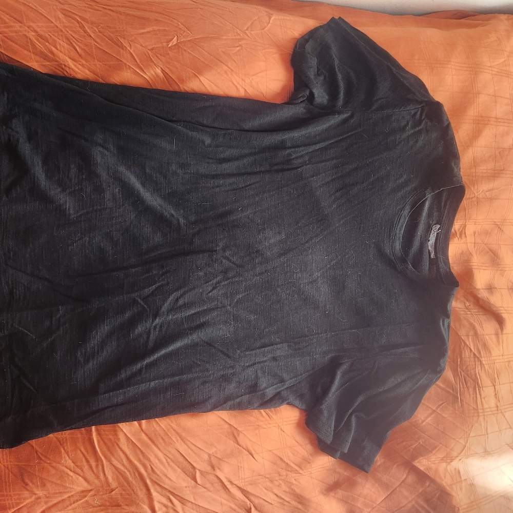 Icebreaker Merino T Shirt